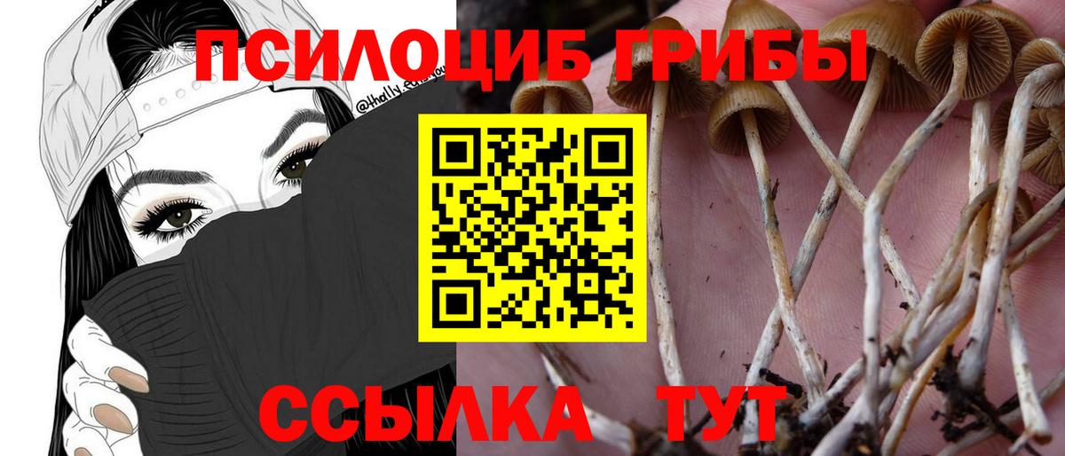 Углич  Псилоцибиновые грибы GOLDEN TEACHER  Вход с VPN 
