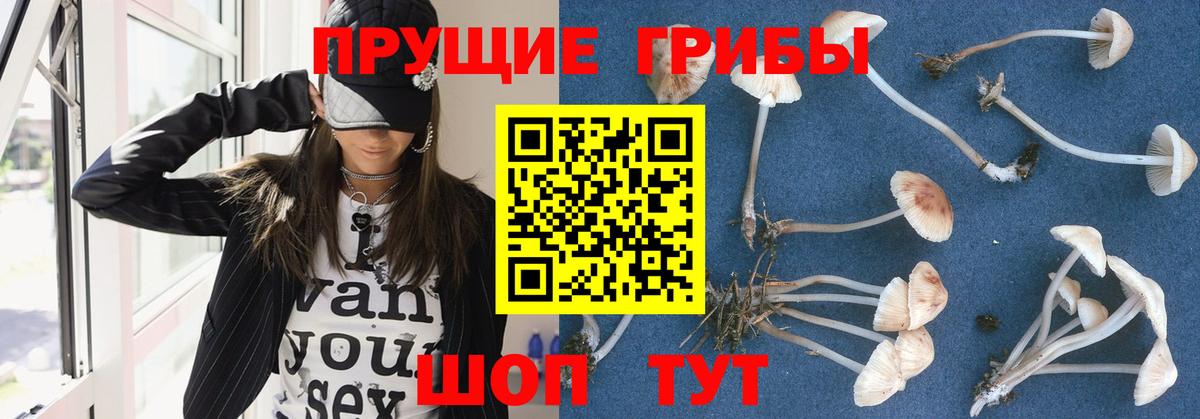 Псилоцибиновые грибы ЛСД Углич